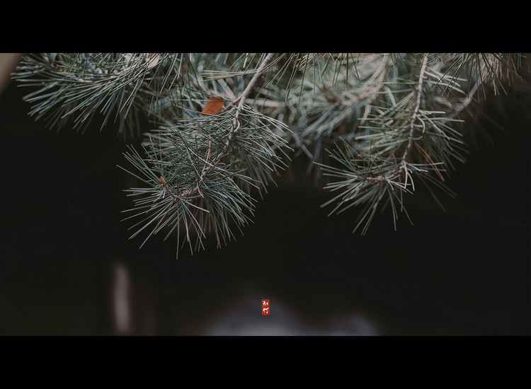 風月·人像古裝攝影