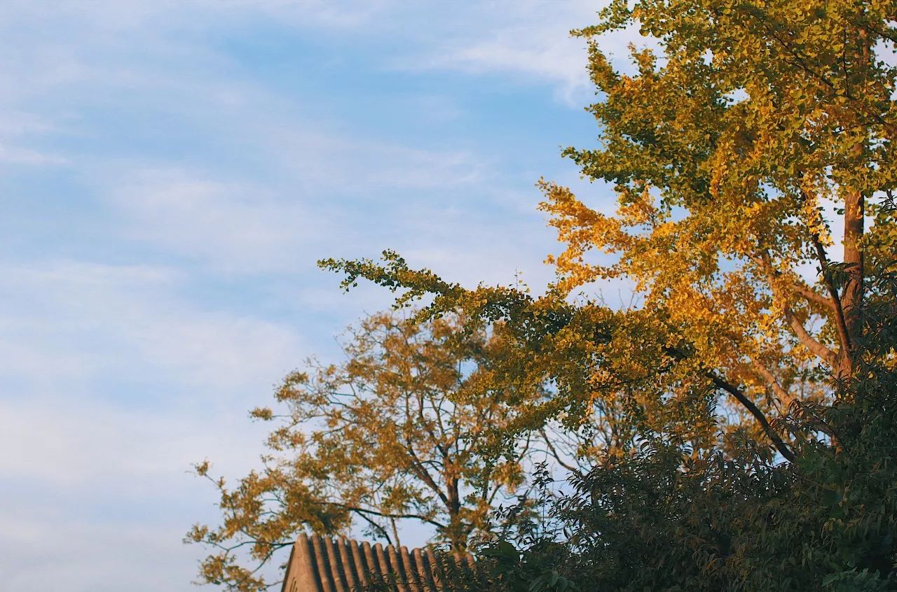 秋果·798店，愿你找回20年前的單純時光