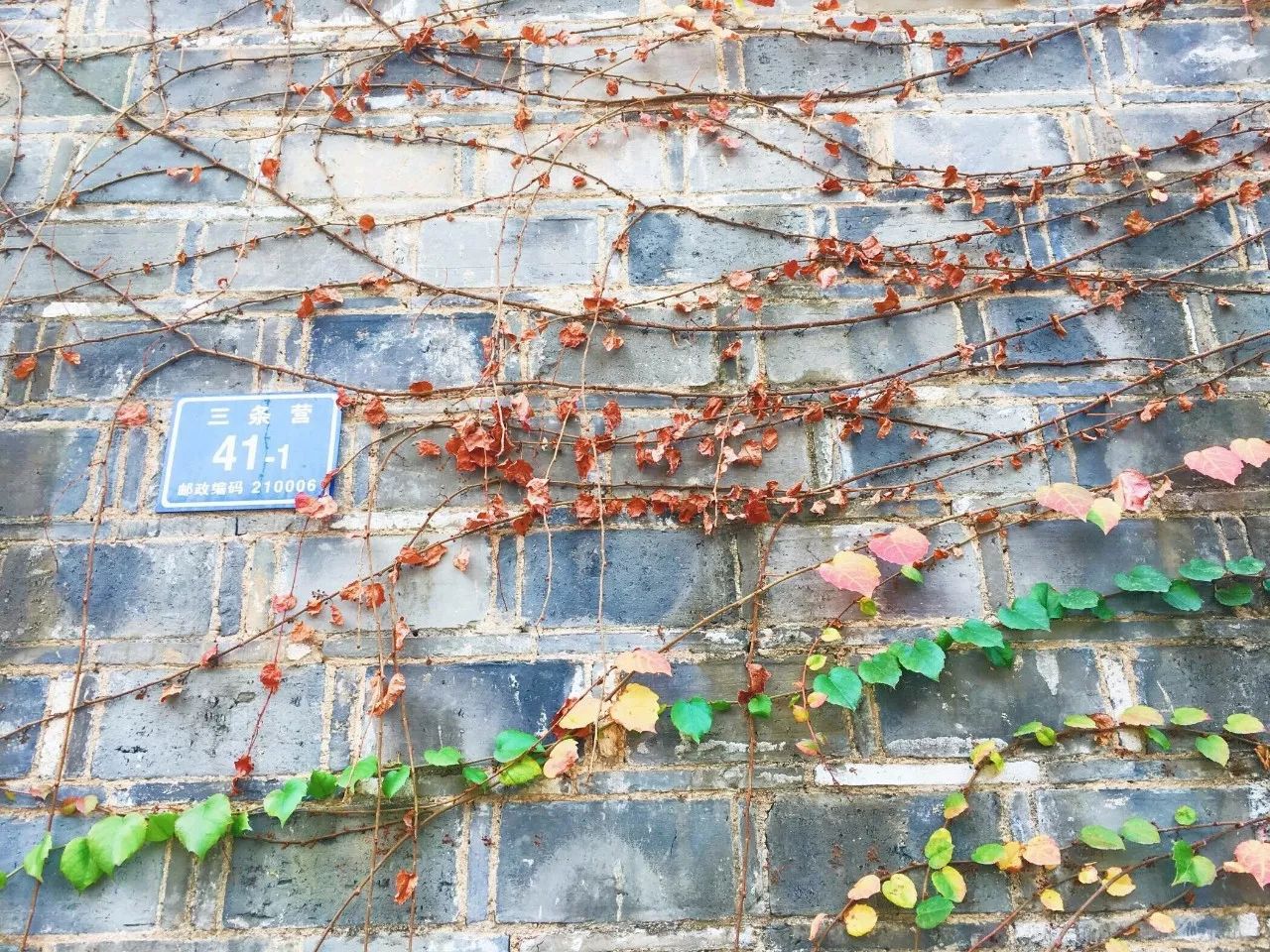 隱南·門東，有著金陵六朝古都的味道