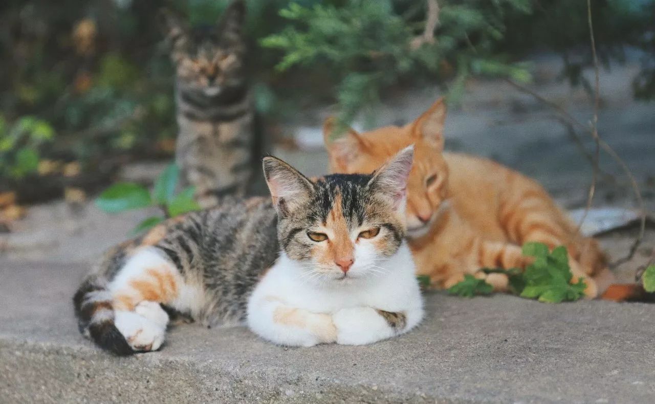 隱南·門東，有著金陵六朝古都的味道