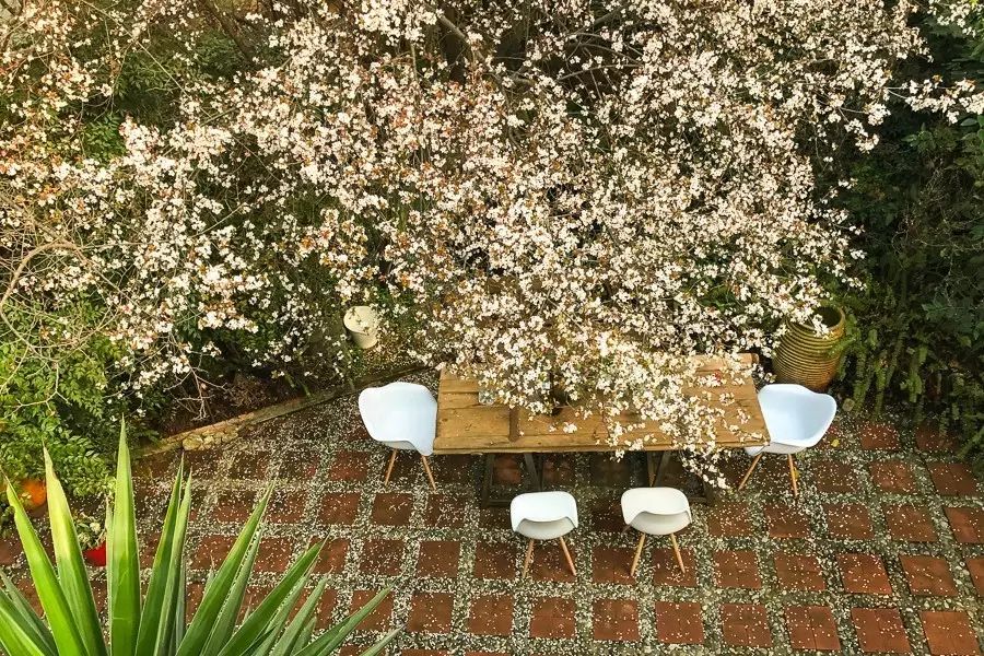 成都·肯派，把日子過成詩有酒有故事更有愛!