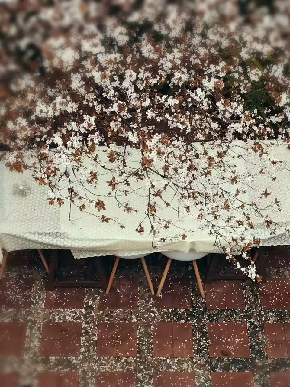 成都·肯派，把日子過(guò)成詩(shī)有酒有故事更有愛(ài)!