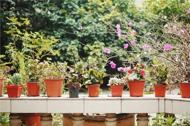 成都·肯派，把日子過成詩有酒有故事更有愛!