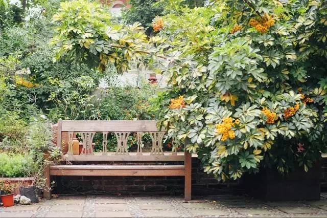 成都·肯派，把日子過成詩有酒有故事更有愛!