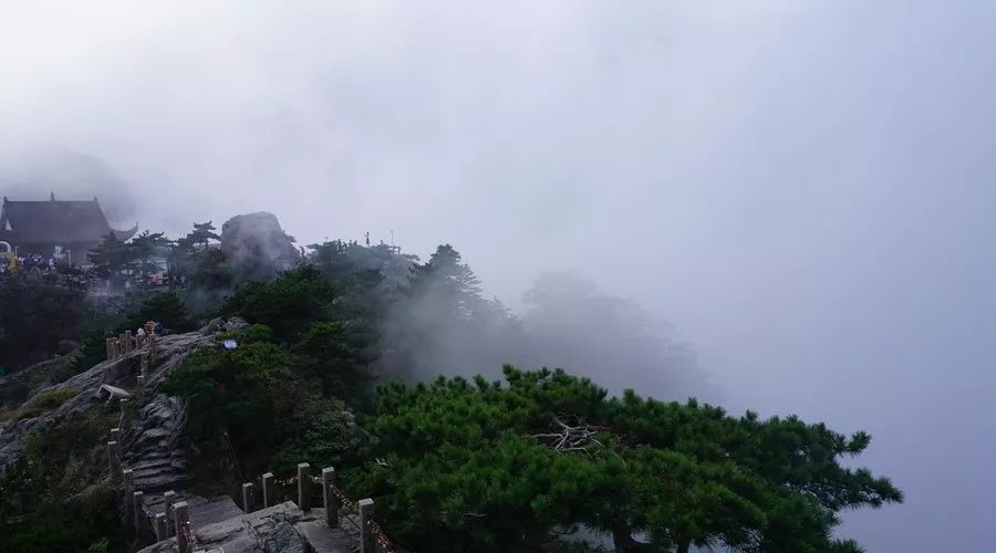 九華山·清竹里，延續(xù)和分享茶文化禪文化