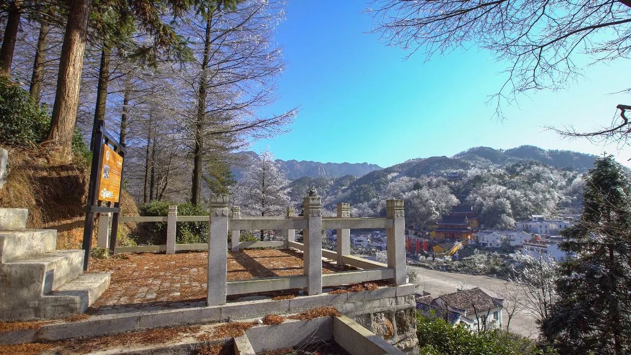 九華山·清竹里，延續(xù)和分享茶文化禪文化