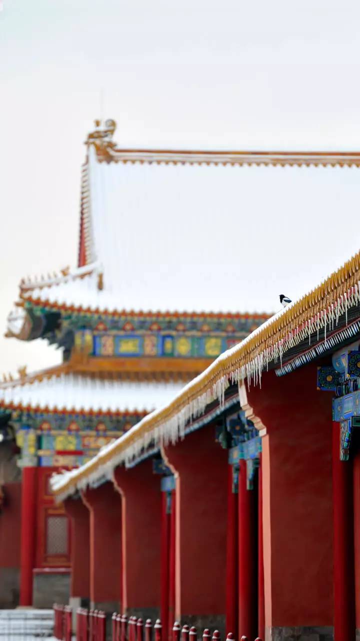 最美中國(guó)古建筑：紫禁城下雪了！