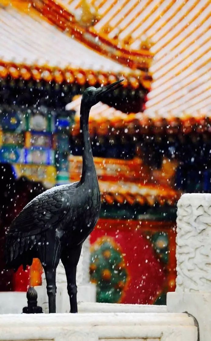 最美中國(guó)古建筑：紫禁城下雪了！