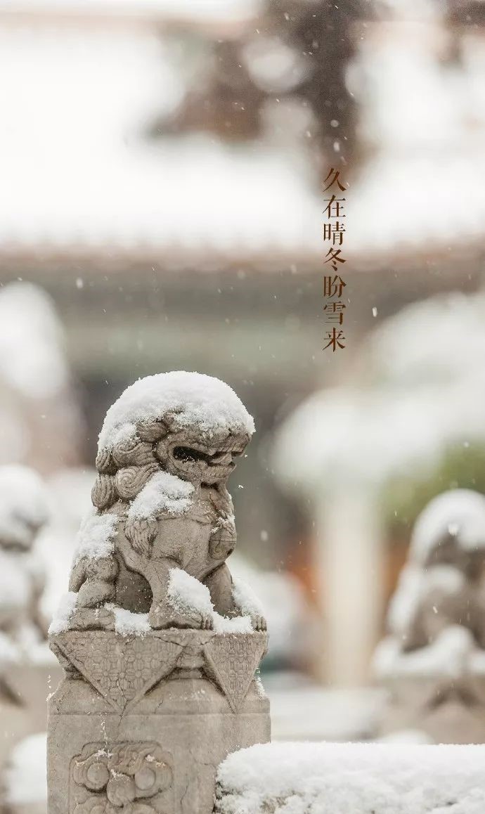 最美中國古建筑：紫禁城下雪了！
