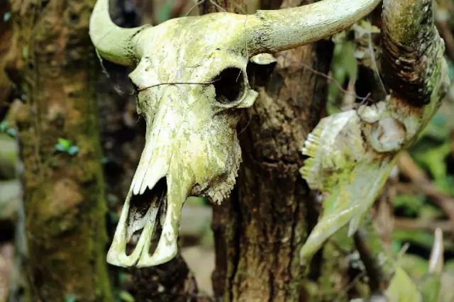 西盟·普洱民宿，偷得浮生半日閑心情半佛半神仙