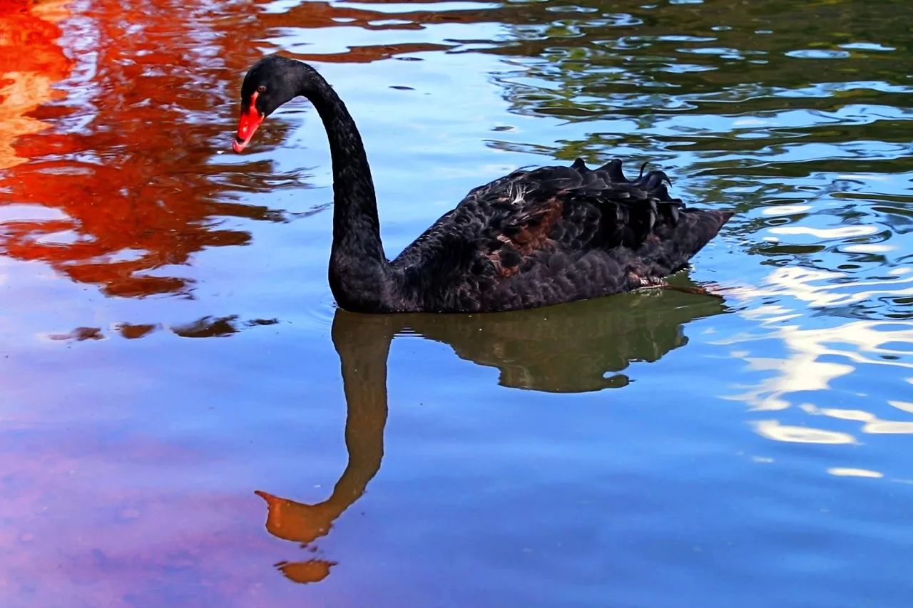 西盟·普洱民宿，偷得浮生半日閑心情半佛半神仙