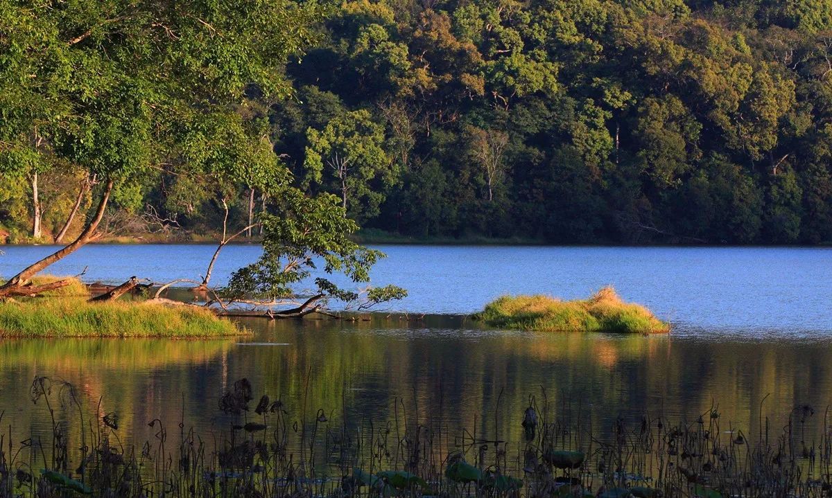 西盟·普洱民宿，偷得浮生半日閑心情半佛半神仙