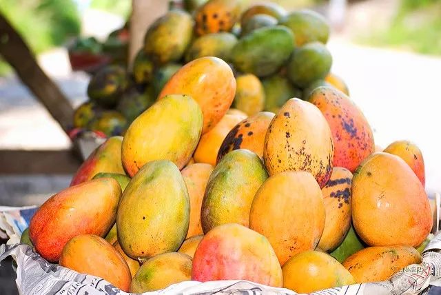 西盟·普洱民宿，偷得浮生半日閑心情半佛半神仙