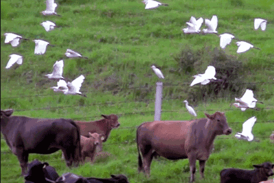 西盟·普洱民宿，偷得浮生半日閑心情半佛半神仙