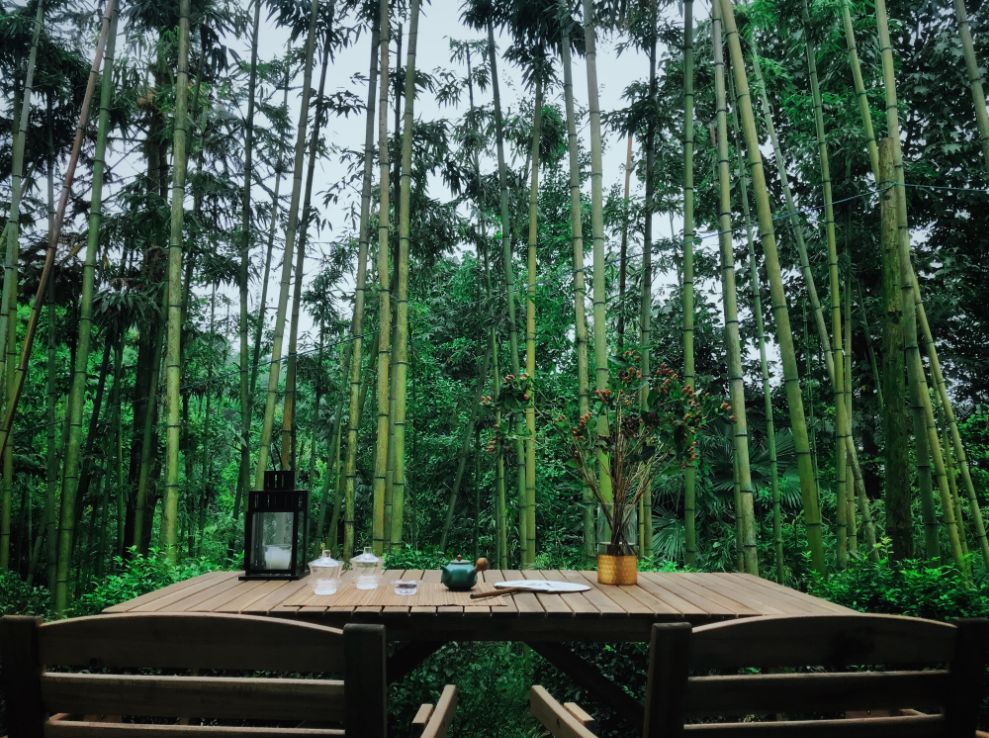 路之青城，在應(yīng)該努力的年紀(jì)留下精彩的痕跡！