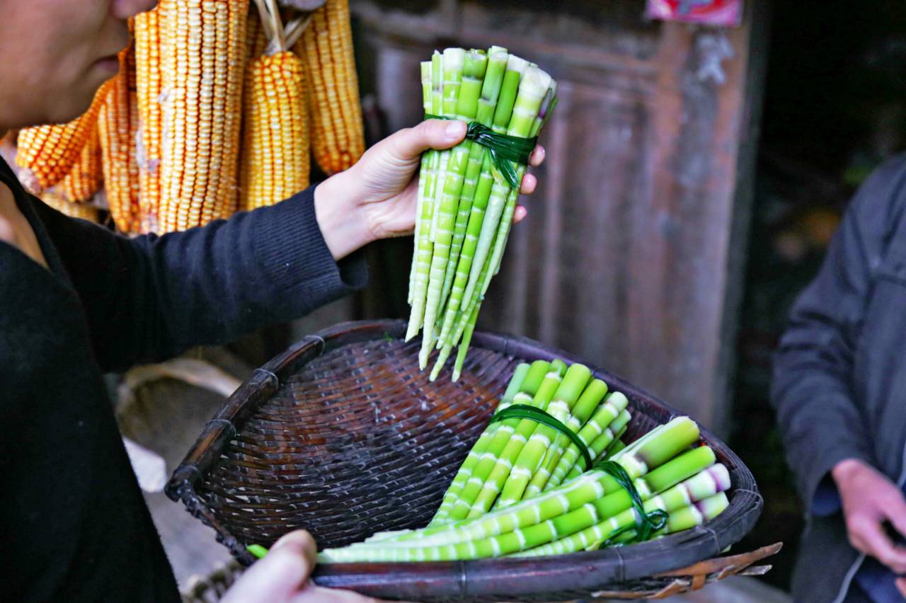 路之青城，在應(yīng)該努力的年紀(jì)留下精彩的痕跡！