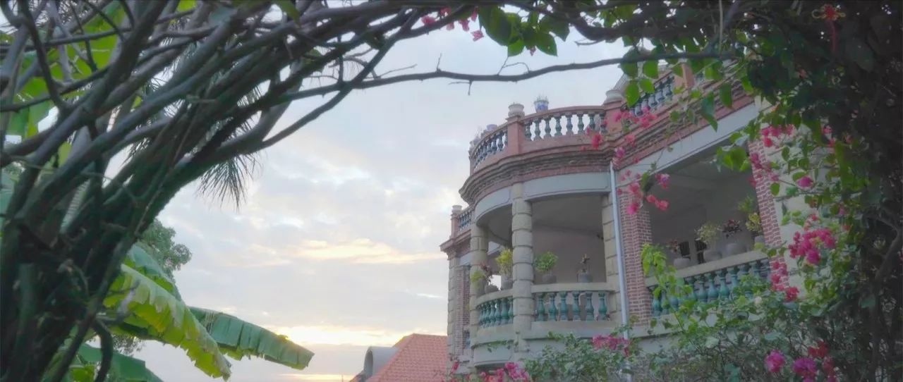 廈門·春草芬芳，體驗(yàn)面朝大海沐浴星辰的愜意芬