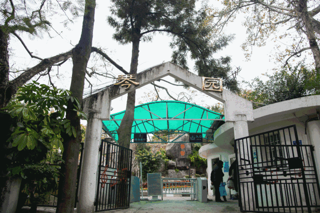 廈門·春草芬芳，體驗(yàn)面朝大海沐浴星辰的愜意芬