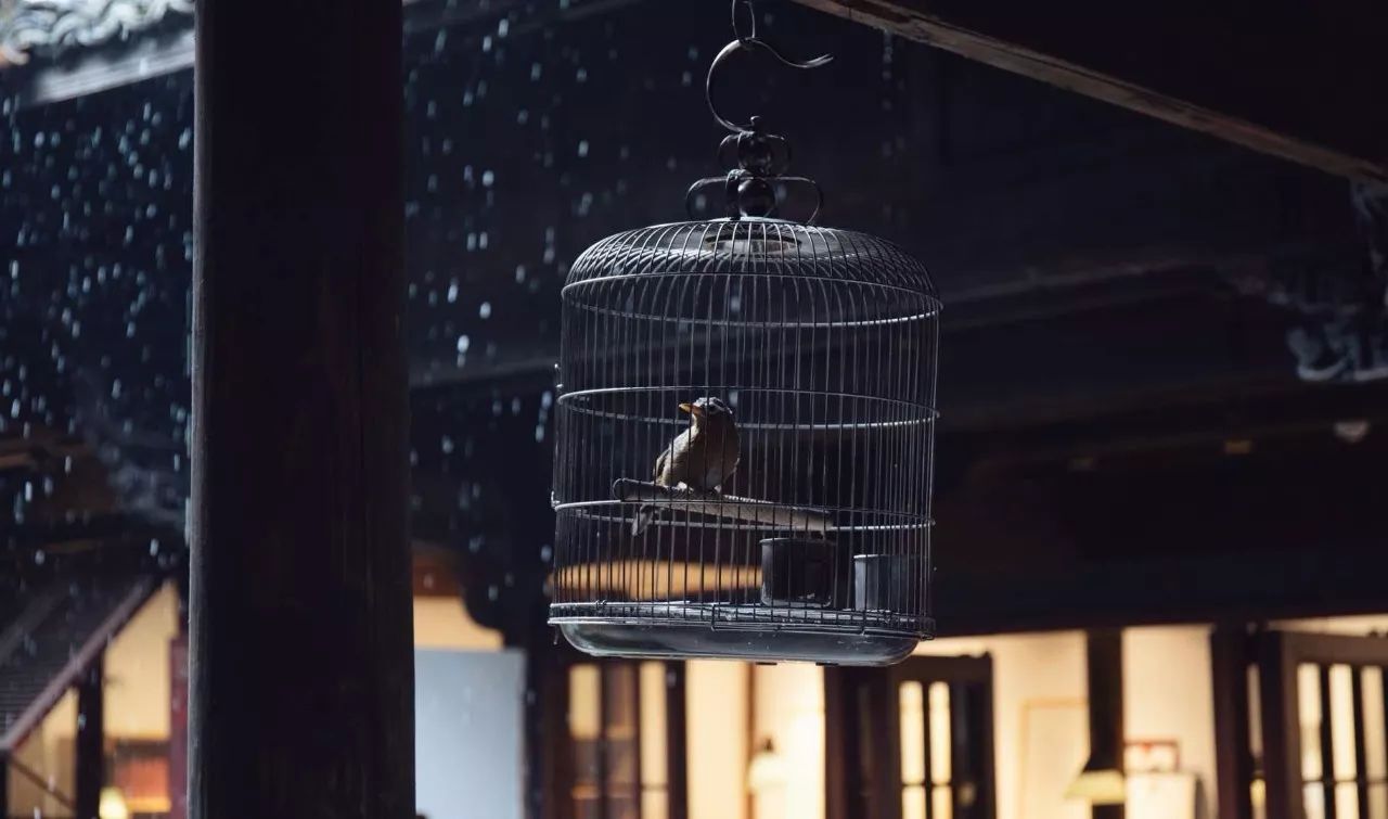 松陽·蔦舍，江南秘境里最溫暖的落腳處