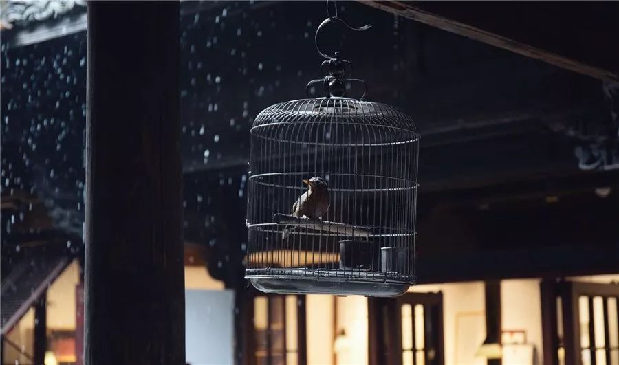 松陽·蔦舍，江南秘境里最溫暖的落腳處