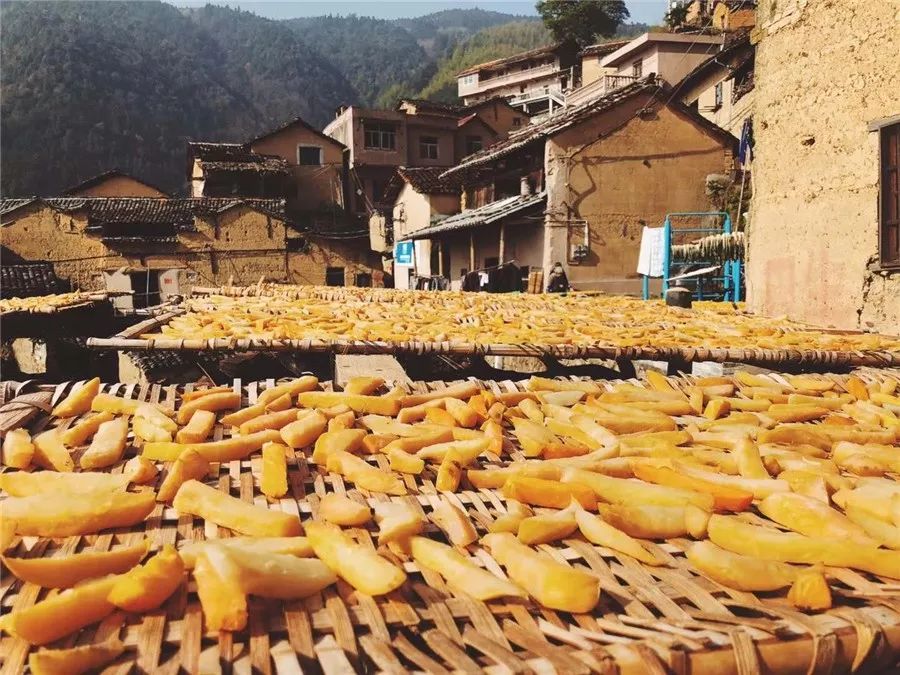 松陽(yáng)·蔦舍，江南秘境里最溫暖的落腳處