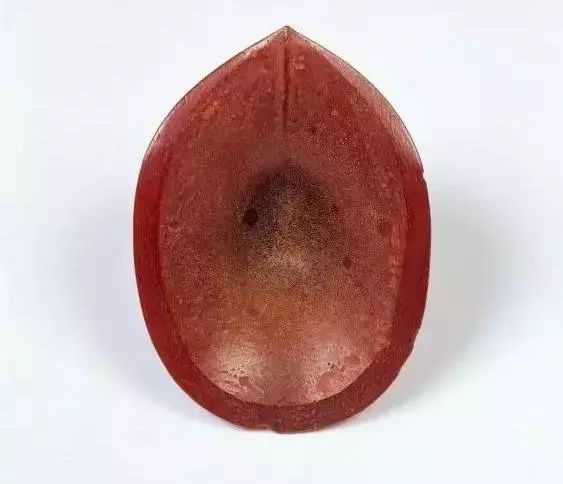 古代樂器：大唐盛世藏著豐富的大唐珍寶！