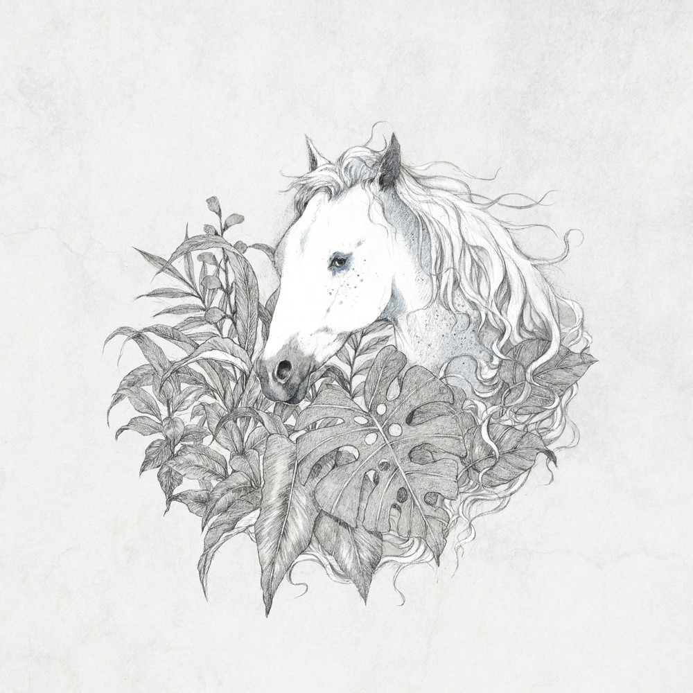 手繪動(dòng)物插畫設(shè)計(jì)，黑白創(chuàng)意插畫圖片