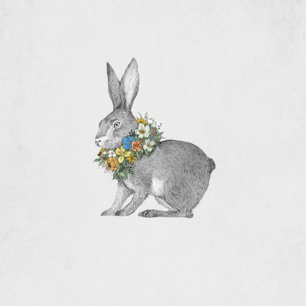 手繪動(dòng)物插畫設(shè)計(jì)，黑白創(chuàng)意插畫圖片