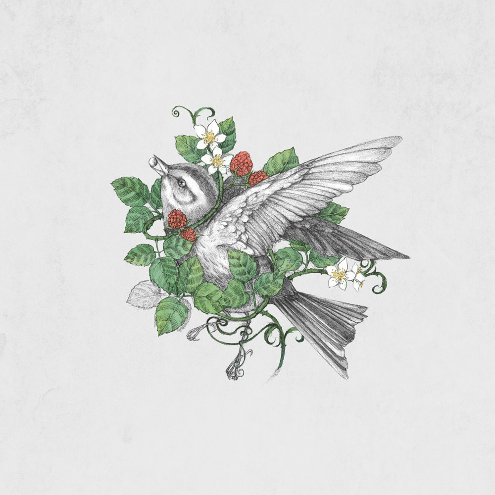 手繪動物插畫設(shè)計，黑白創(chuàng)意插畫圖片