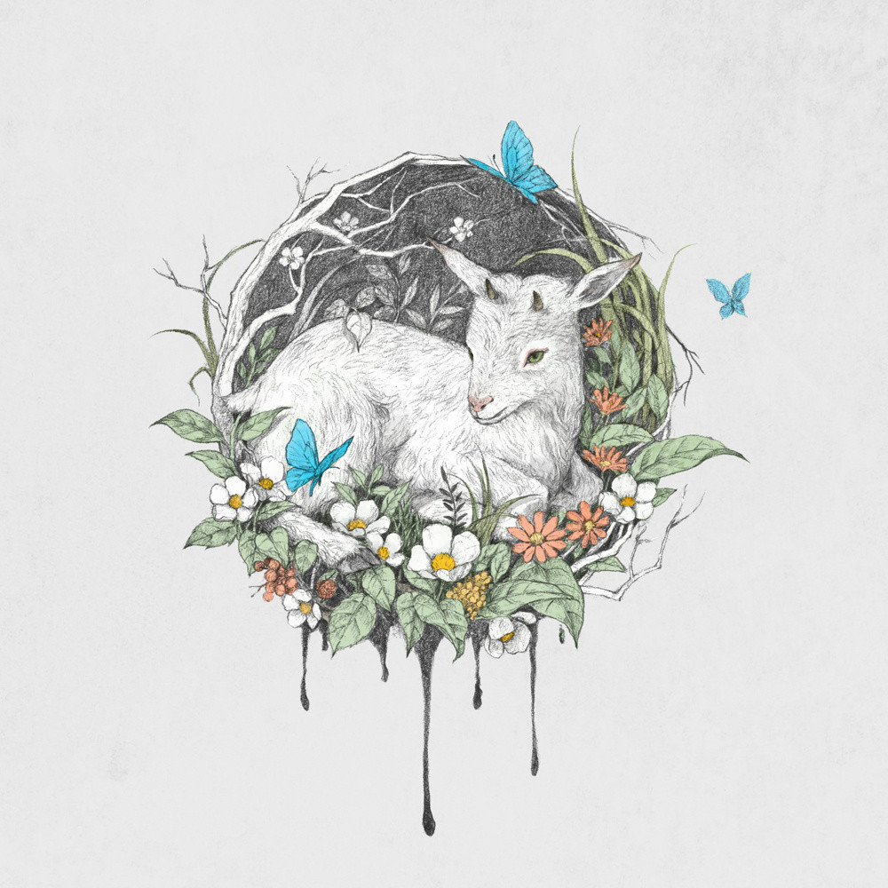 手繪動物插畫設(shè)計，黑白創(chuàng)意插畫圖片