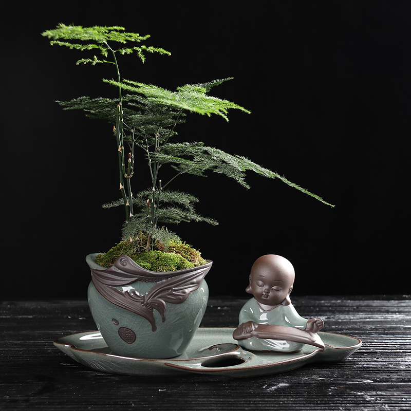 復(fù)古匠心啟航閱讀文竹盆景，禪意小和尚盆景