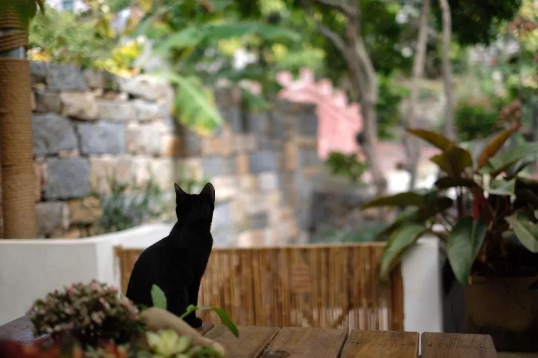 古山重水云間，細水長流吸引你