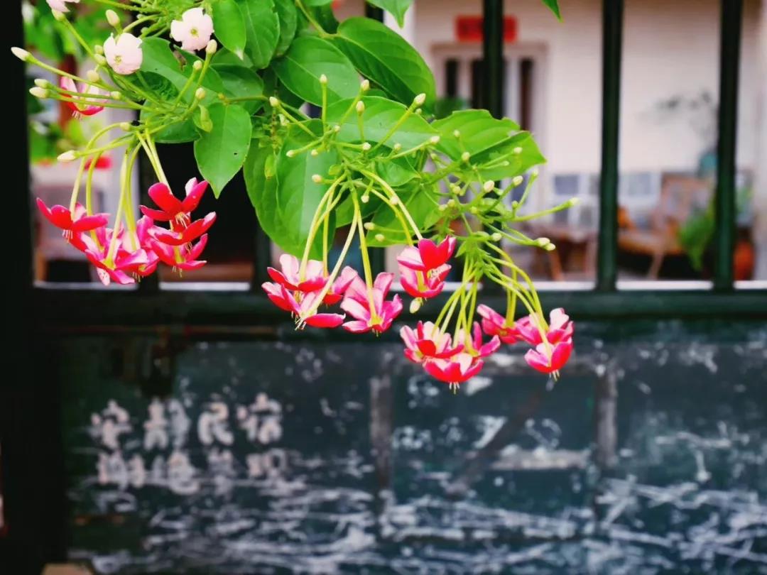 古山重水云間，細(xì)水長流吸引你