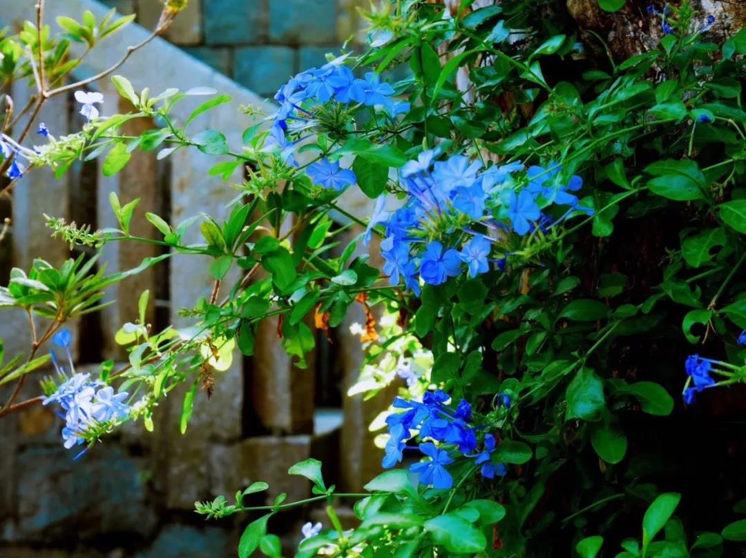 古山重水云間，細(xì)水長流吸引你