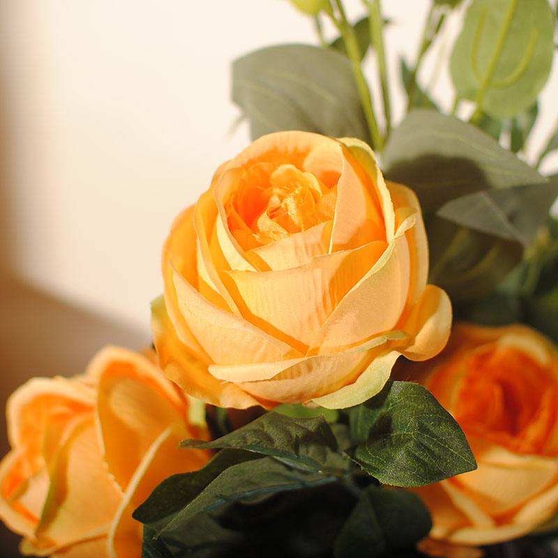 雍容牡丹桔梗插花藝術(shù)，富貴牡丹新中式花藝