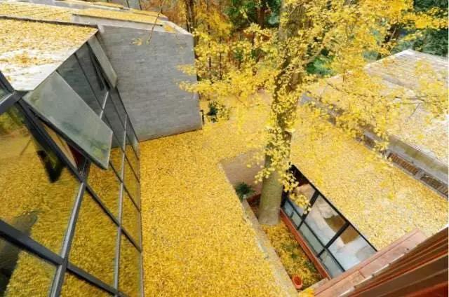 上山上去生活吧，上山上迎你還家！