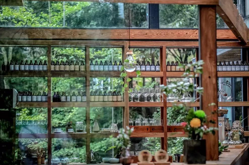 上山上去生活吧，上山上迎你還家！