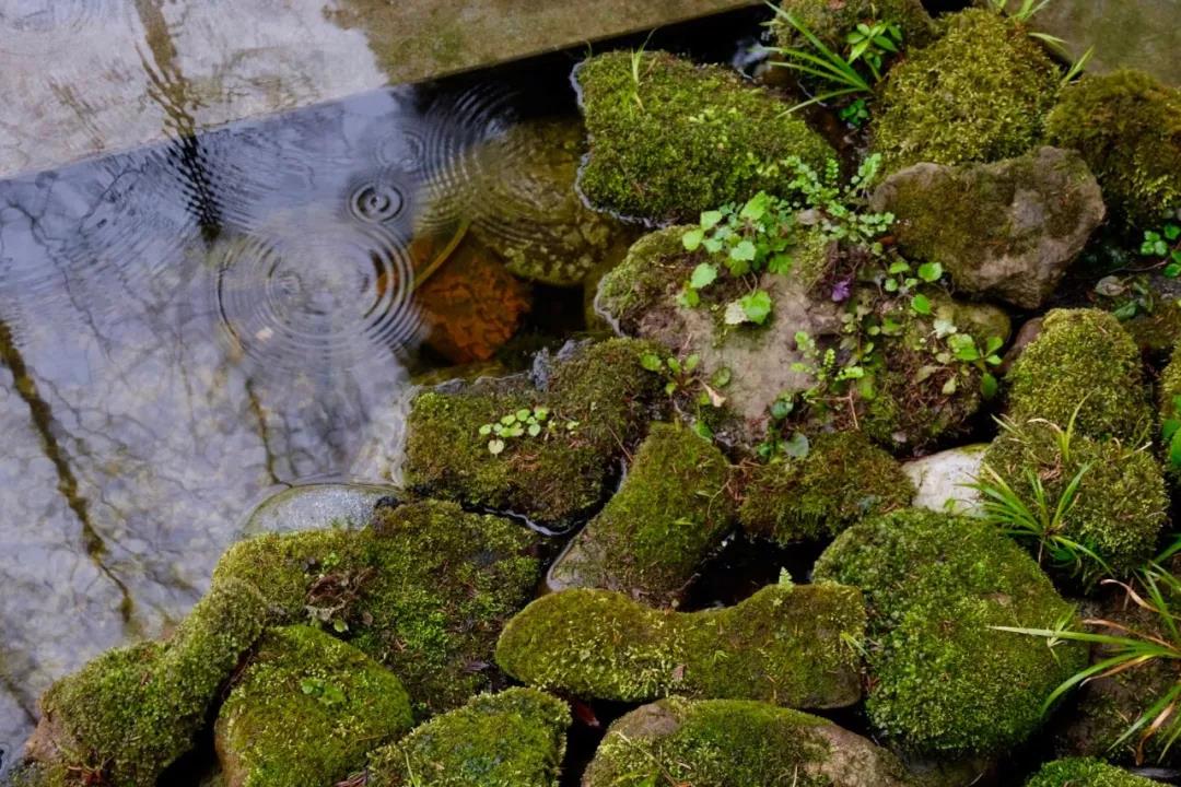 上山上去生活吧，上山上迎你還家！