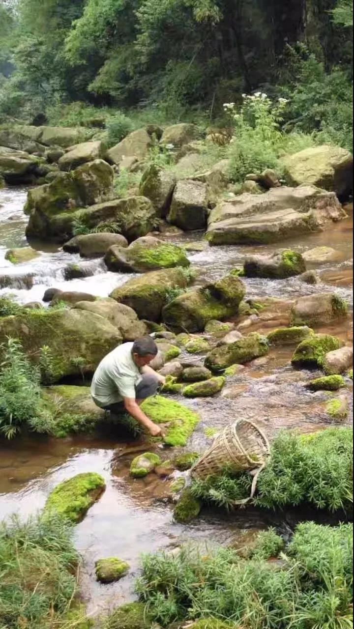 上山上去生活吧，上山上迎你還家！