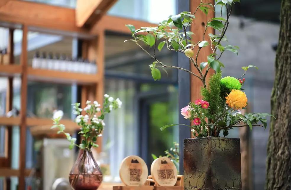 上山上去生活吧，上山上迎你還家！