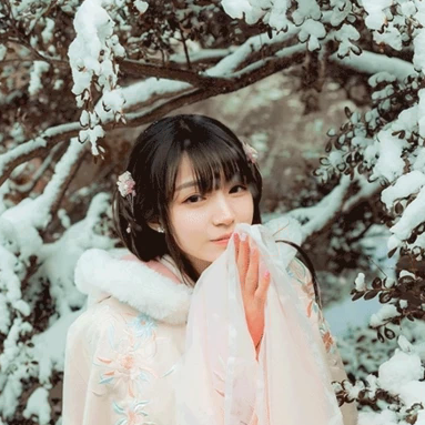 白雪飄落清新氣質(zhì)女生頭像，唯美古風(fēng)真人頭像