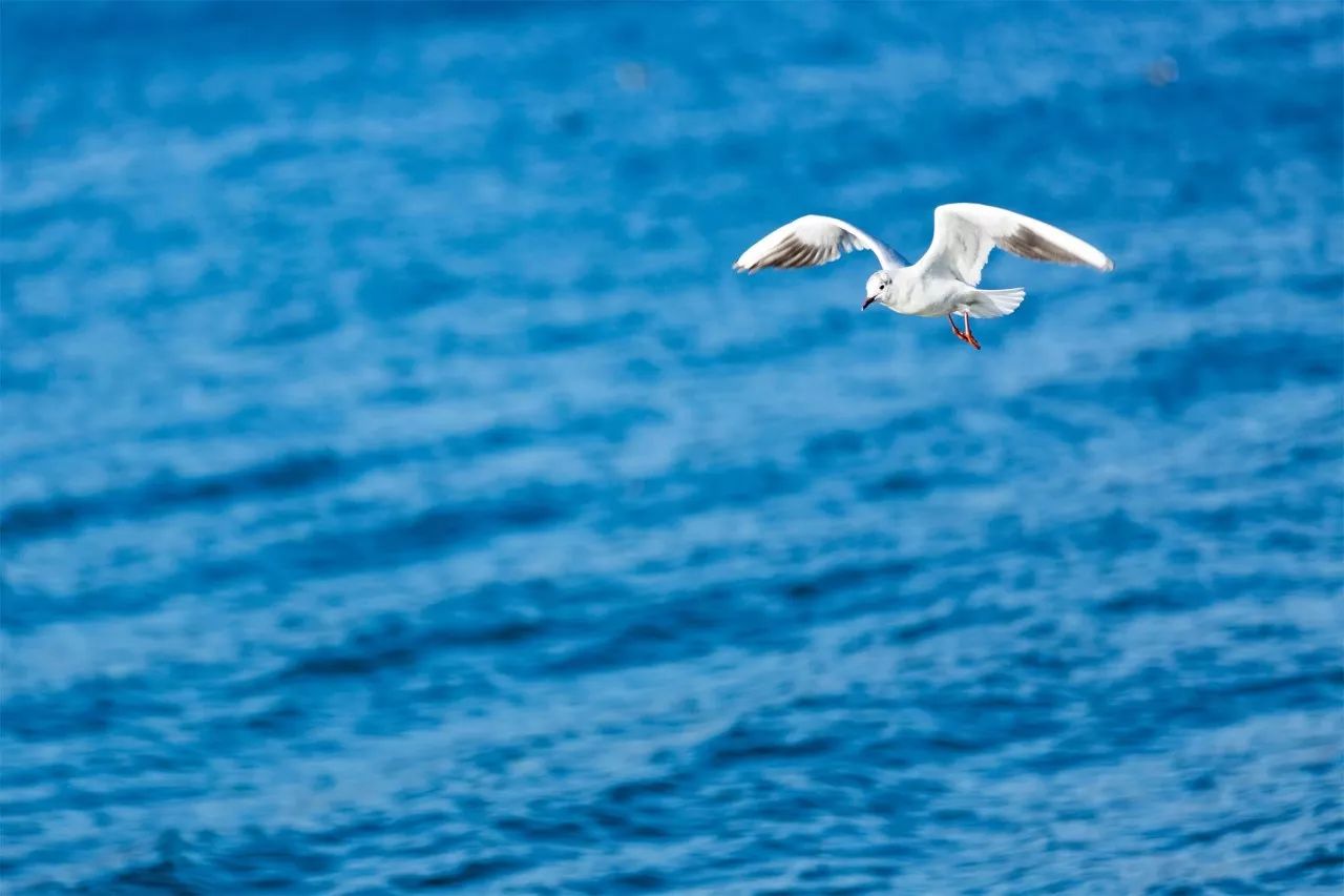 璞山云美·女兒國(guó)酒店，瀘沽湖的一場(chǎng)旅行！