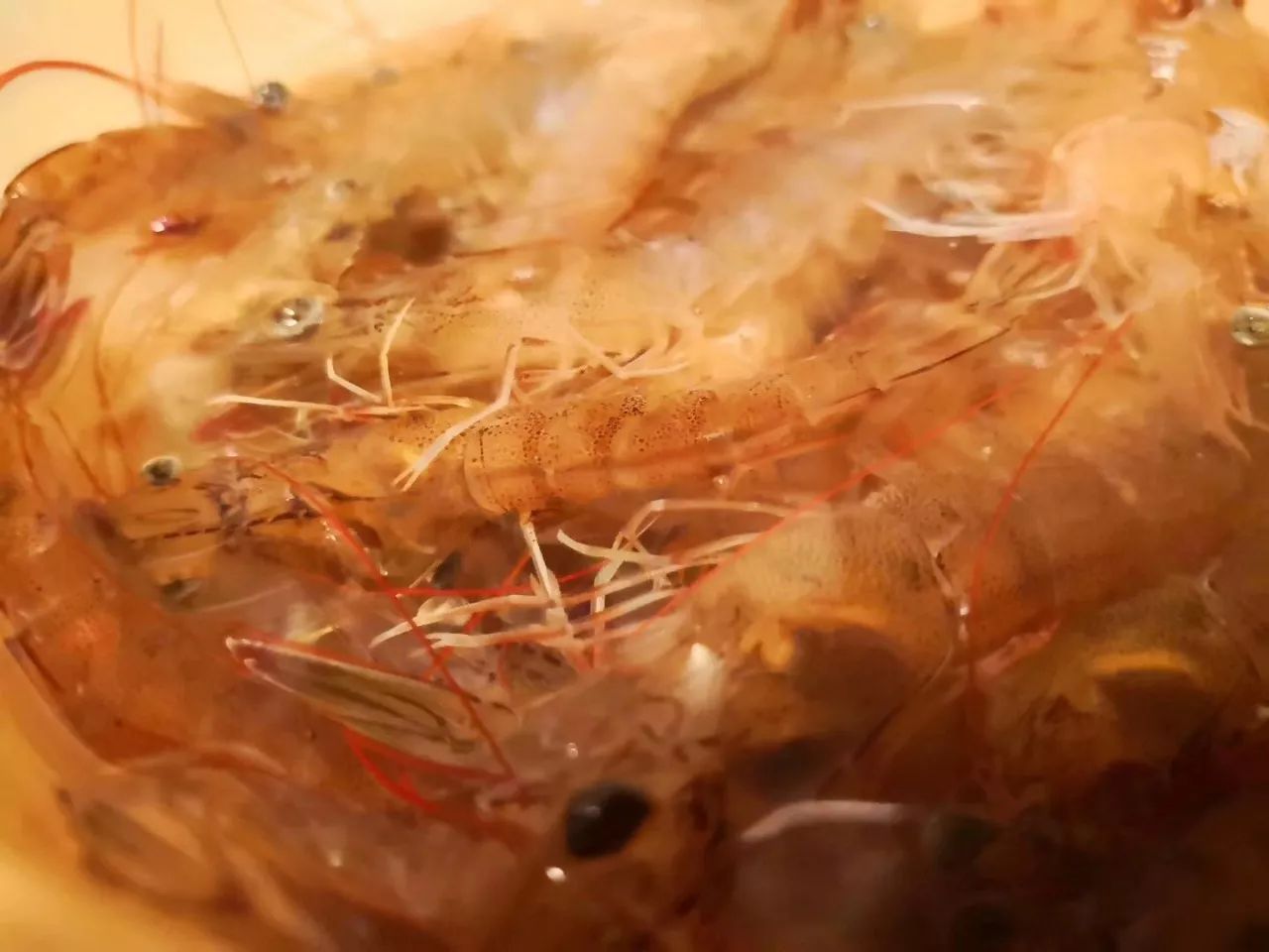 璞山云美·女兒國(guó)酒店，瀘沽湖的一場(chǎng)旅行！