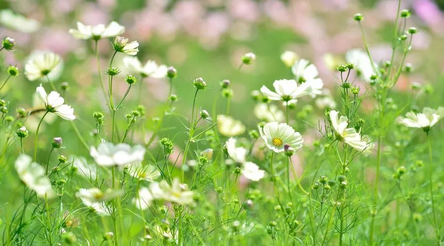 璞山云美·女兒國酒店，瀘沽湖的一場旅行！