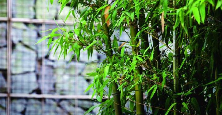 中香界·上海別院，萬水千山總是情！