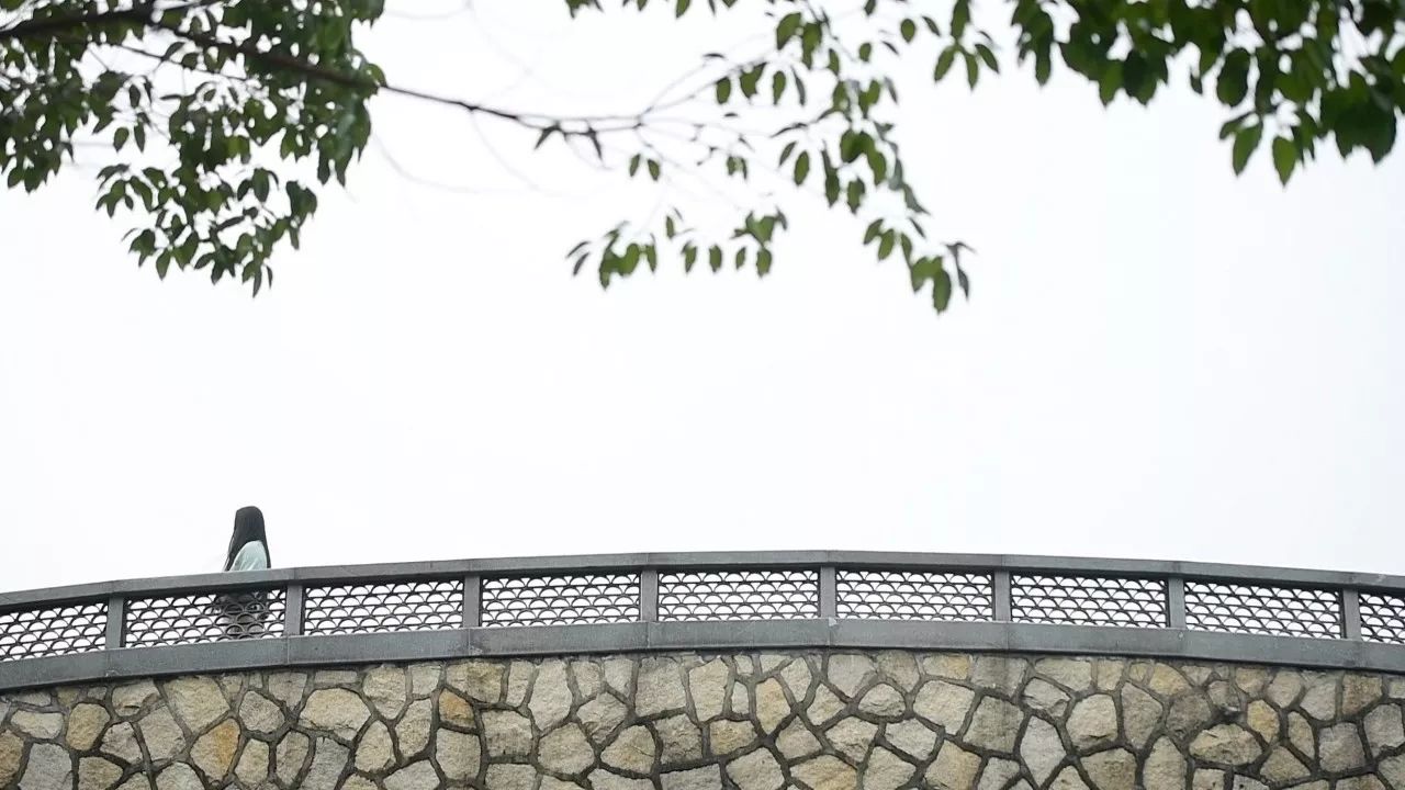 中香界·上海別院，萬水千山總是情！