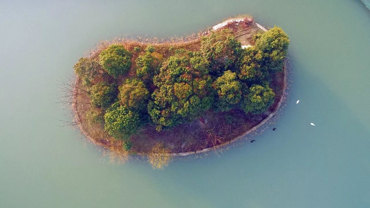 中香界·上海別院，萬水千山總是情！