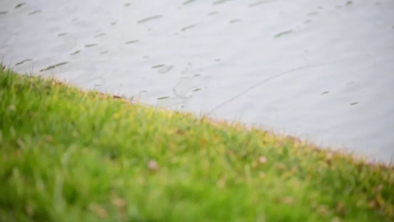 中香界·上海別院，萬水千山總是情！