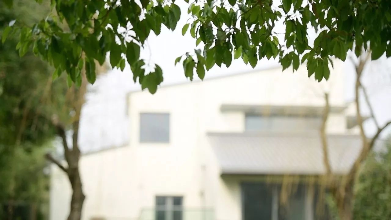 中香界·上海別院，萬(wàn)水千山總是情！