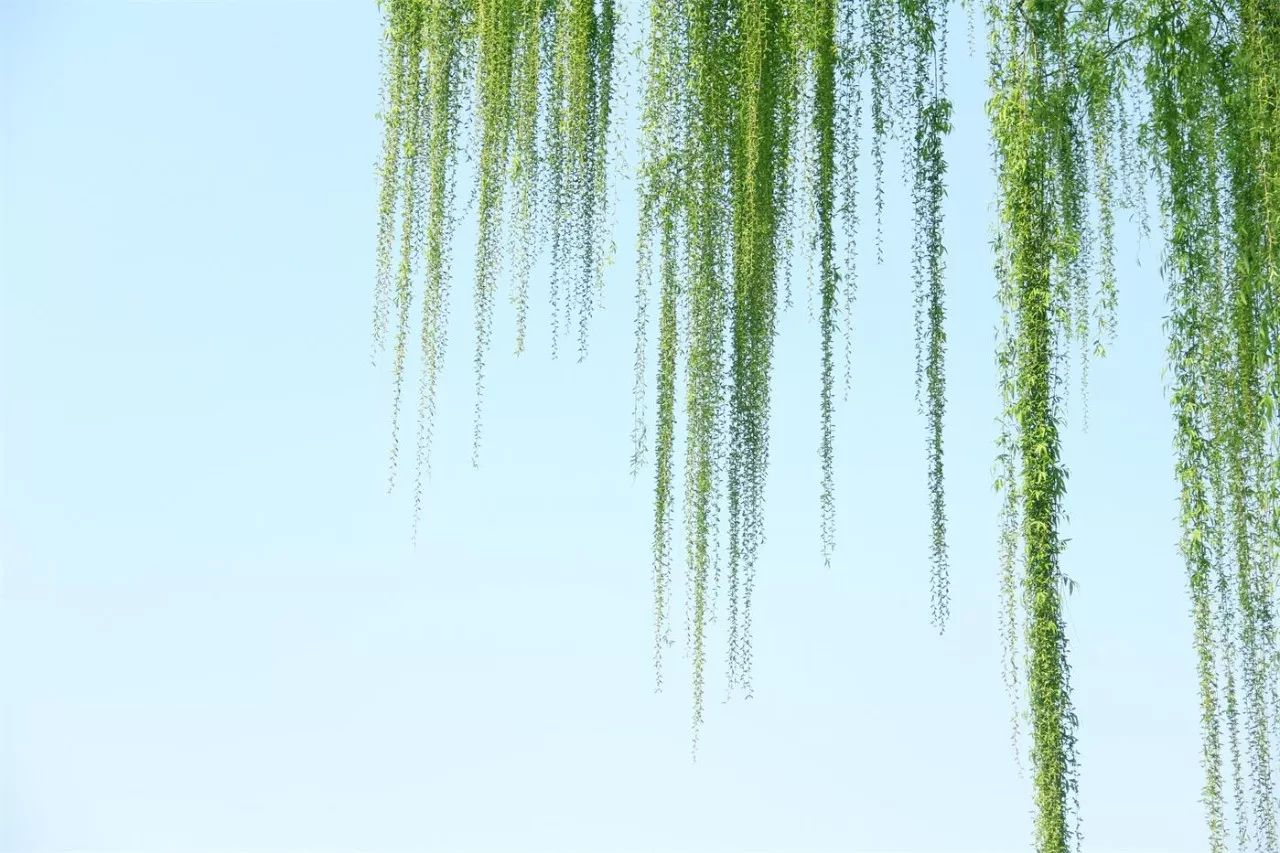 中香界·上海別院，萬(wàn)水千山總是情！